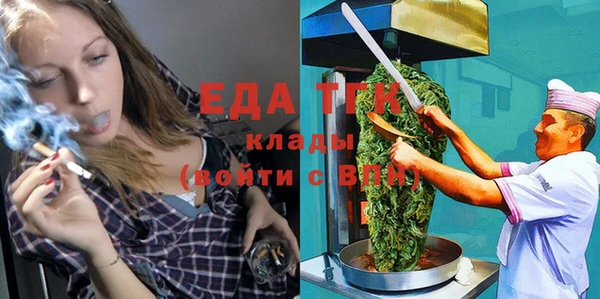 хмурый Алзамай